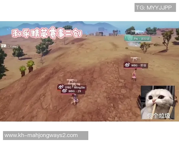 和平精英赛场上RNG逆袭之路的真实记录与精彩瞬间回顾